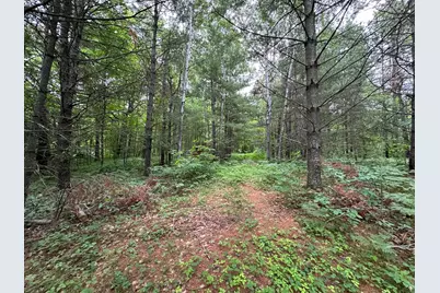 Tbd 269th Avenue, Laporte, MN 56461 - Photo 21