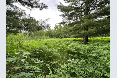 Tbd 269th Avenue, Laporte, MN 56461 - Photo 15