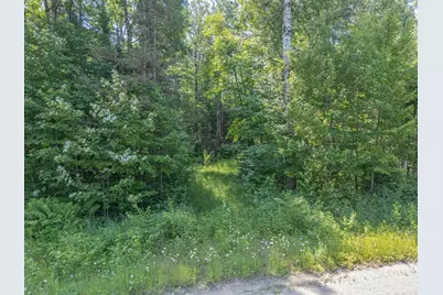 County Road 308 County Road 308, Mountain Iron, MN 55768 - Photo 3