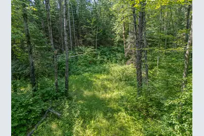 County Road 308 County Road 308, Mountain Iron, MN 55768 - Photo 5