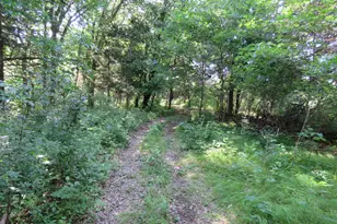 7738 Co Rd 17, Rice, MN 56367 - Photo 25
