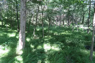 7738 Co Rd 17, Rice, MN 56367 - Photo 21