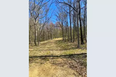 Lot's 4,5 & 6 Anderson Hill Lane, Boyceville, WI 54725 - Photo 5