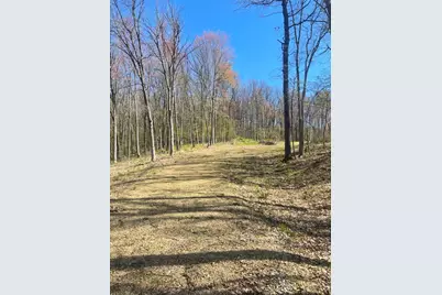 Lot's 4,5 & 6 Anderson Hill Lane, Boyceville, WI 54725 - Photo 1
