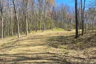 Lot's 4 5 & 6 Anderson Hill Ln, Boyceville, WI 54725 - Photo 1