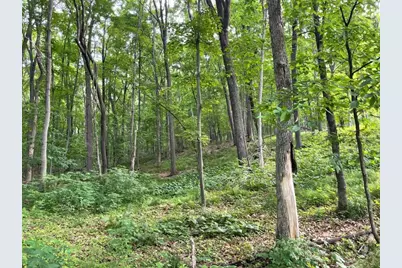 Lot's 4,5 & 6 Anderson Hill Lane, Boyceville, WI 54725 - Photo 3