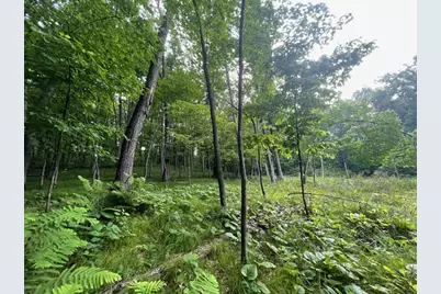 Lot's 4,5 & 6 Anderson Hill Lane, Boyceville, WI 54725 - Photo 11