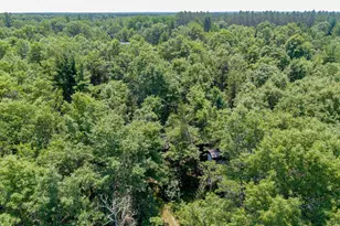 8998 N River Rd, Danbury, WI 54830 - Photo 51