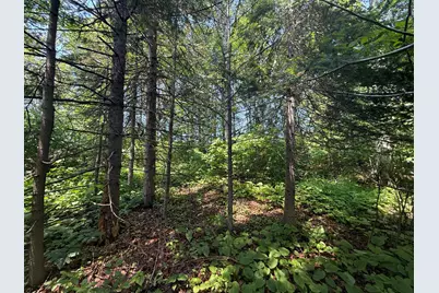 Tbd Scenic Dr., Two Harbors, MN 55616 - Photo 9
