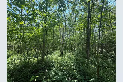 Tbd Scenic Dr., Two Harbors, MN 55616 - Photo 17