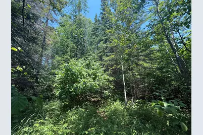 Tbd Scenic Dr., Two Harbors, MN 55616 - Photo 15