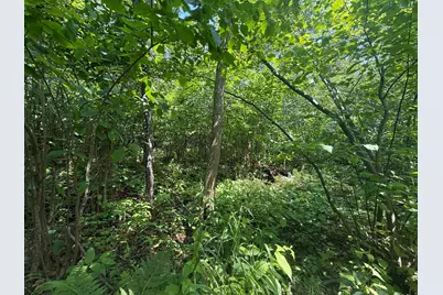 Tbd Scenic Dr., Two Harbors, MN 55616 - Photo 13