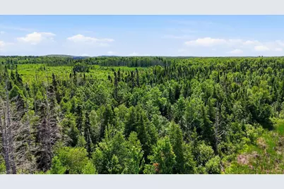 Tbd Guile Lake Road, Cohasset, MN 55721 - Photo 9