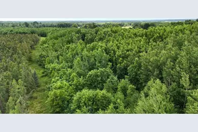 6565 Lynch Bridge Road, Siren, WI 54872 - Photo 89