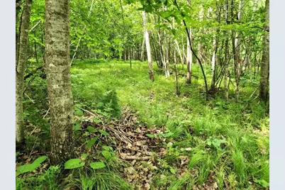 6565 Lynch Bridge Road, Siren, WI 54872 - Photo 59