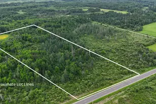 8Xxx Townline Rd, Forbes, MN 55738 - Photo 1