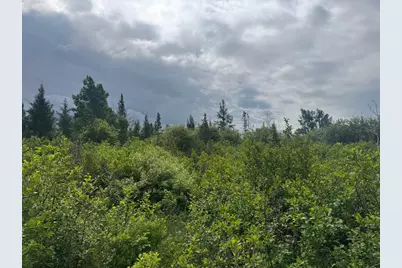 Tbd Quaal Road, Forbes, MN 55738 - Photo 13
