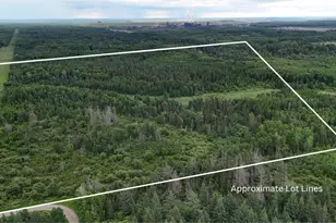 Tbd Quaal Rd, Forbes, MN 55738 - Photo 1