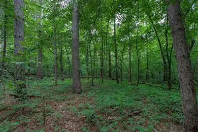37306 Fjeldheim Road NE, Stanchfield, MN 55080 - Photo 33