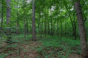 37306 Fjeldheim Rd NE, Stanchfield, MN 55080 - Photo 33