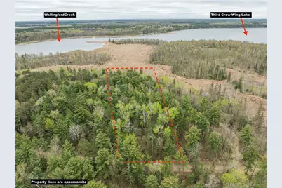 Tbd Chokecherry Drive, Nevis, MN 56467 - Photo 11