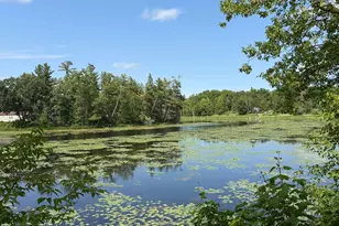 1475 Woodland Loop NW, Baudette, MN 56623 - Photo 35