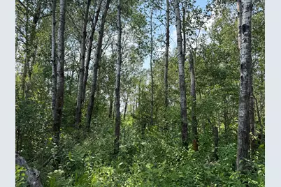 Tbd Bunny Hill Road, Sebeka, MN 56477 - Photo 15