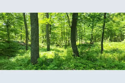 8565 Bear Island Landing NW, Walker, MN 56484 - Photo 17