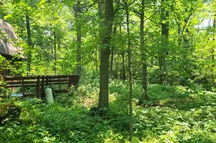 8565 Bear Island Landing NW, Walker, MN 56484 - Photo 19