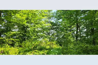 8565 Bear Island Landing NW, Walker, MN 56484 - Photo 21