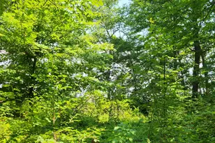 8565 Bear Island Landing NW, Walker, MN 56484 - Photo 21