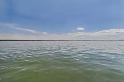 12231 N Shore Drive, Spicer, MN 56288 - Photo 37
