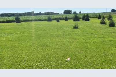 1342 Calvary Road SE, Osakis, MN 56360 - Photo 5