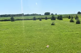 1342 Calvary Rd SE, Osakis, MN 56360 - Photo 5
