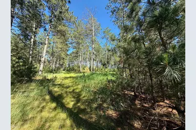Tbd County 48, Park Rapids, MN 56470 - Photo 5