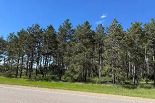 Tbd County 48, Park Rapids, MN 56470 - Photo 1
