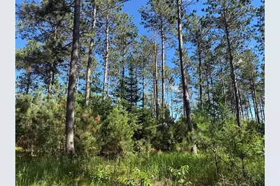 Tbd County 48, Park Rapids, MN 56470 - Photo 17