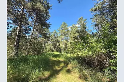 Tbd County 48, Park Rapids, MN 56470 - Photo 9