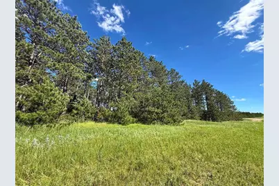 Tbd County 48, Park Rapids, MN 56470 - Photo 3