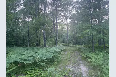 39987 Cass Line Road, Laporte, MN 56461 - Photo 13