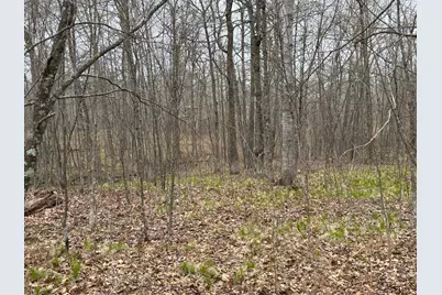 39987 Cass Line Road, Laporte, MN 56461 - Photo 7