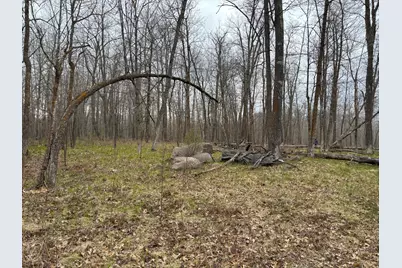 39987 Cass Line Road, Laporte, MN 56461 - Photo 9
