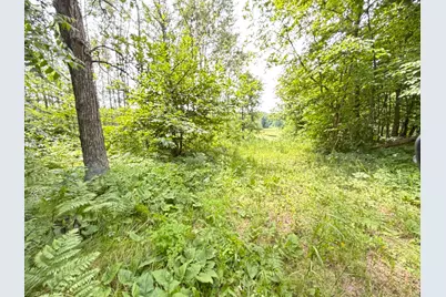 Tbd County 95, Laporte, MN 56461 - Photo 3
