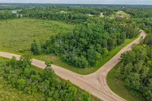Tbd Grant Hills Road SW, Bemidji, MN 56601 - Photo 1