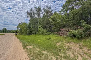 Tbd Grant Hills Road SW, Bemidji, MN 56601 - Photo 1
