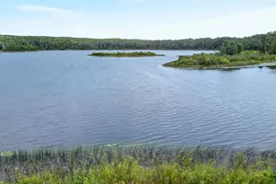 38837 Sissebakwet Shores Rd, Cohasset, MN 55721 - Photo 41