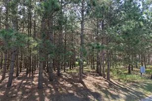 1005 Ladyslipper Ln, Park Rapids, MN 56470 - Photo 1