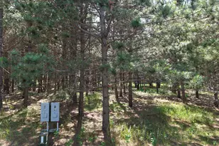 1115 Sunset Loop, Park Rapids, MN 56470 - Photo 1