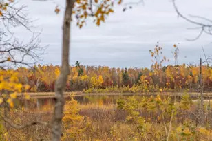 6300 Boot Lake Rd SW, Bemidji, MN 56601 - Photo 111