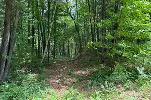 Tdb Garden Dr, Siren, WI 54872 - Photo 1